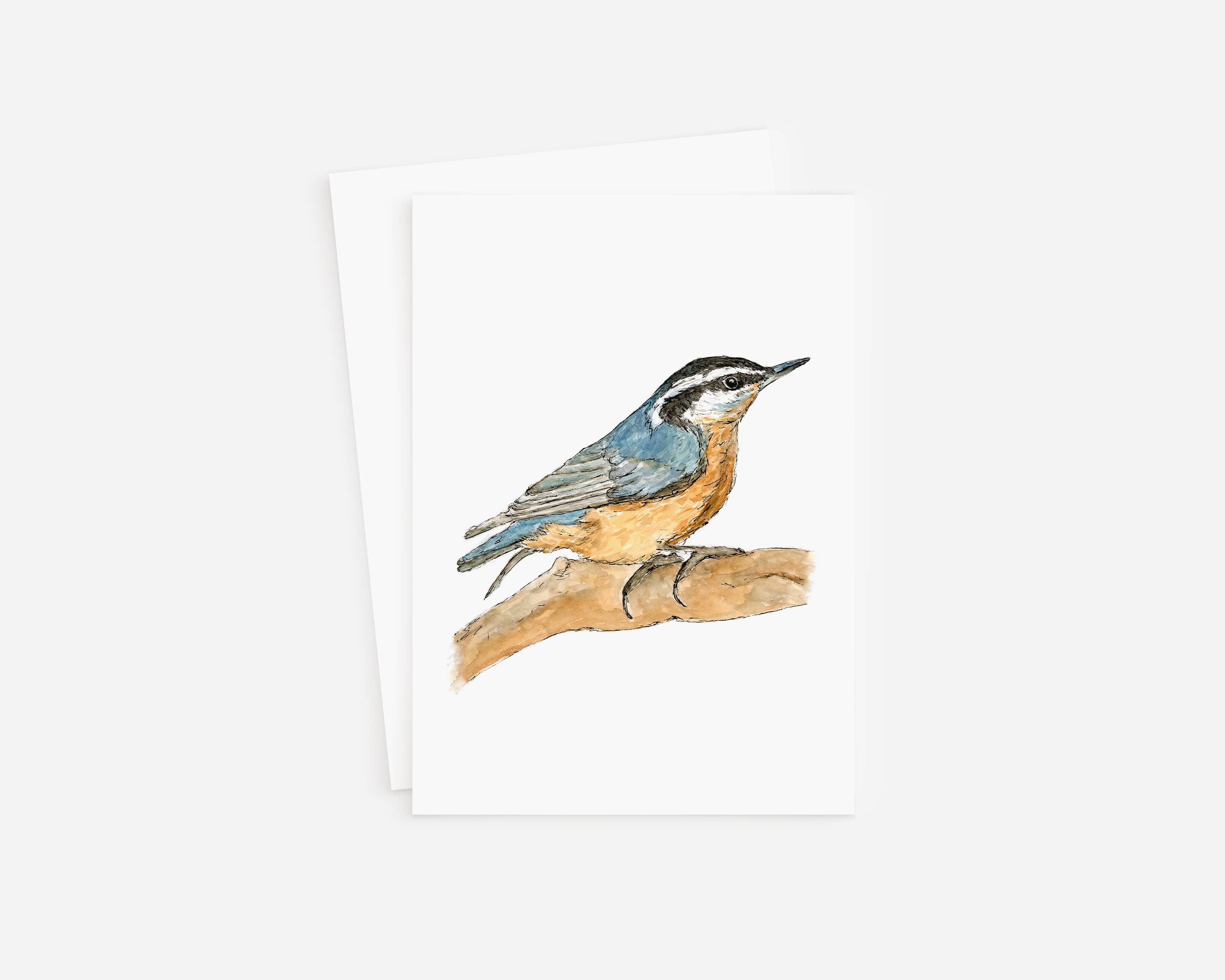 Blank Card- Nuthatch