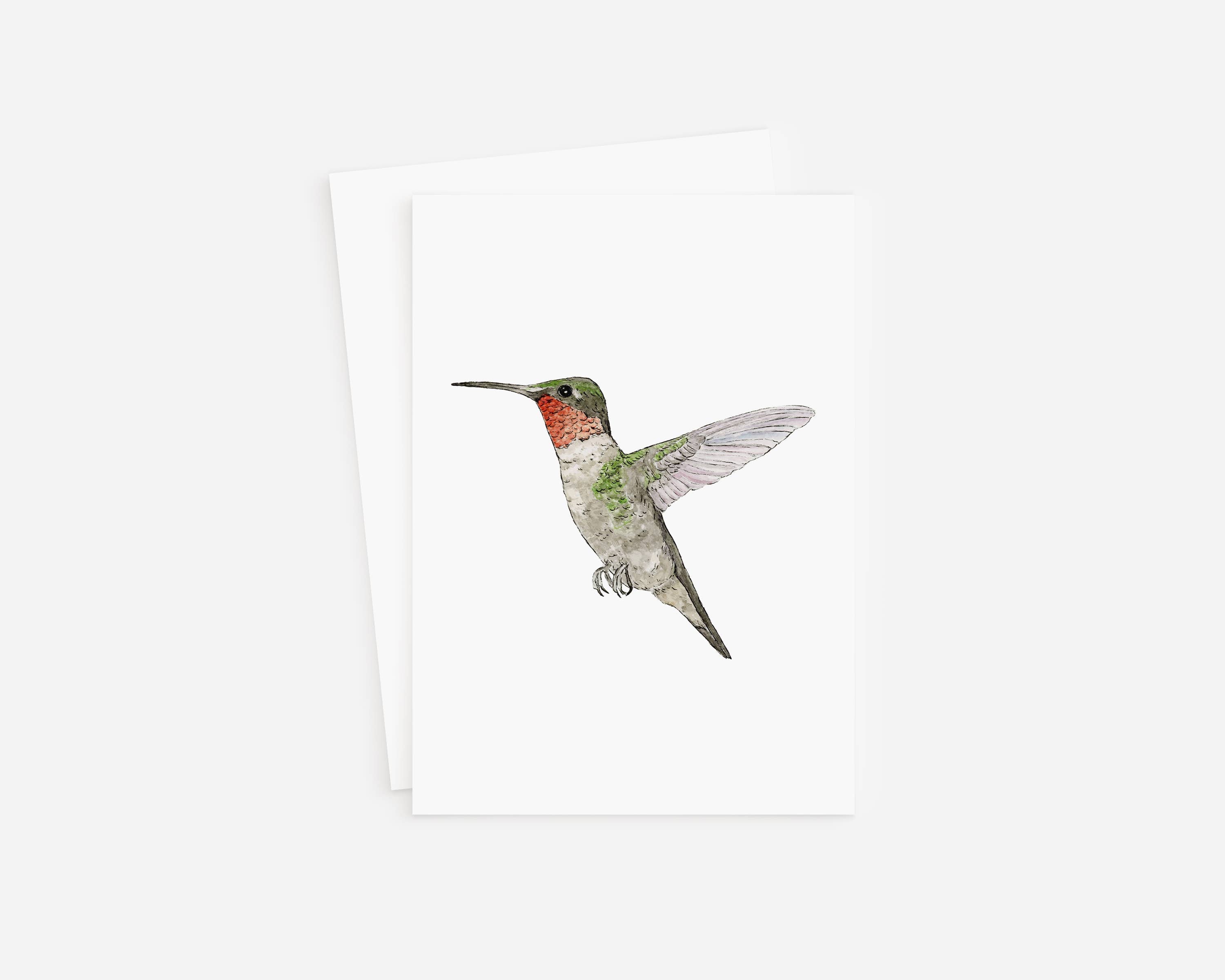 Blank Card- Hummingbird