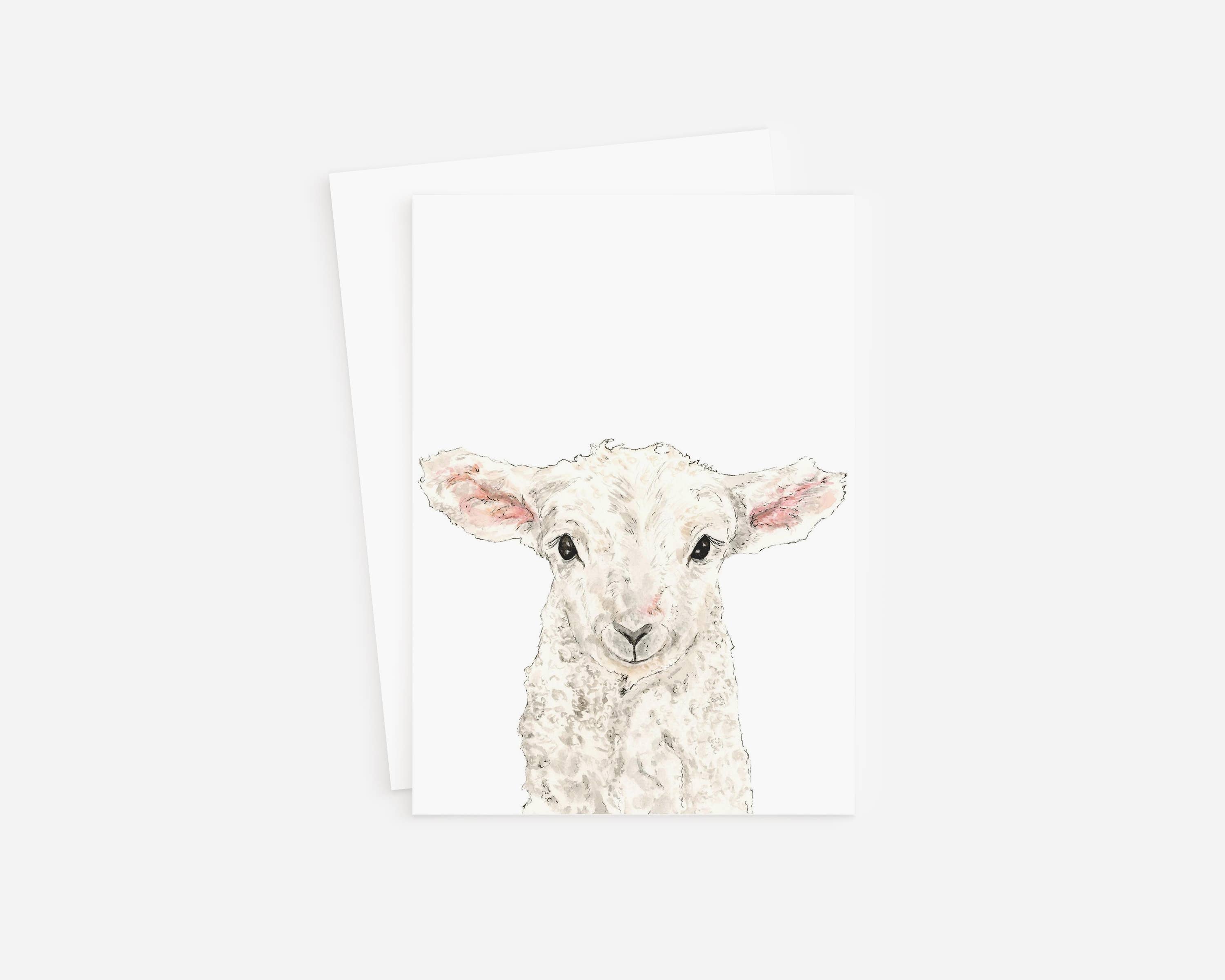 Blank Card- Sheep