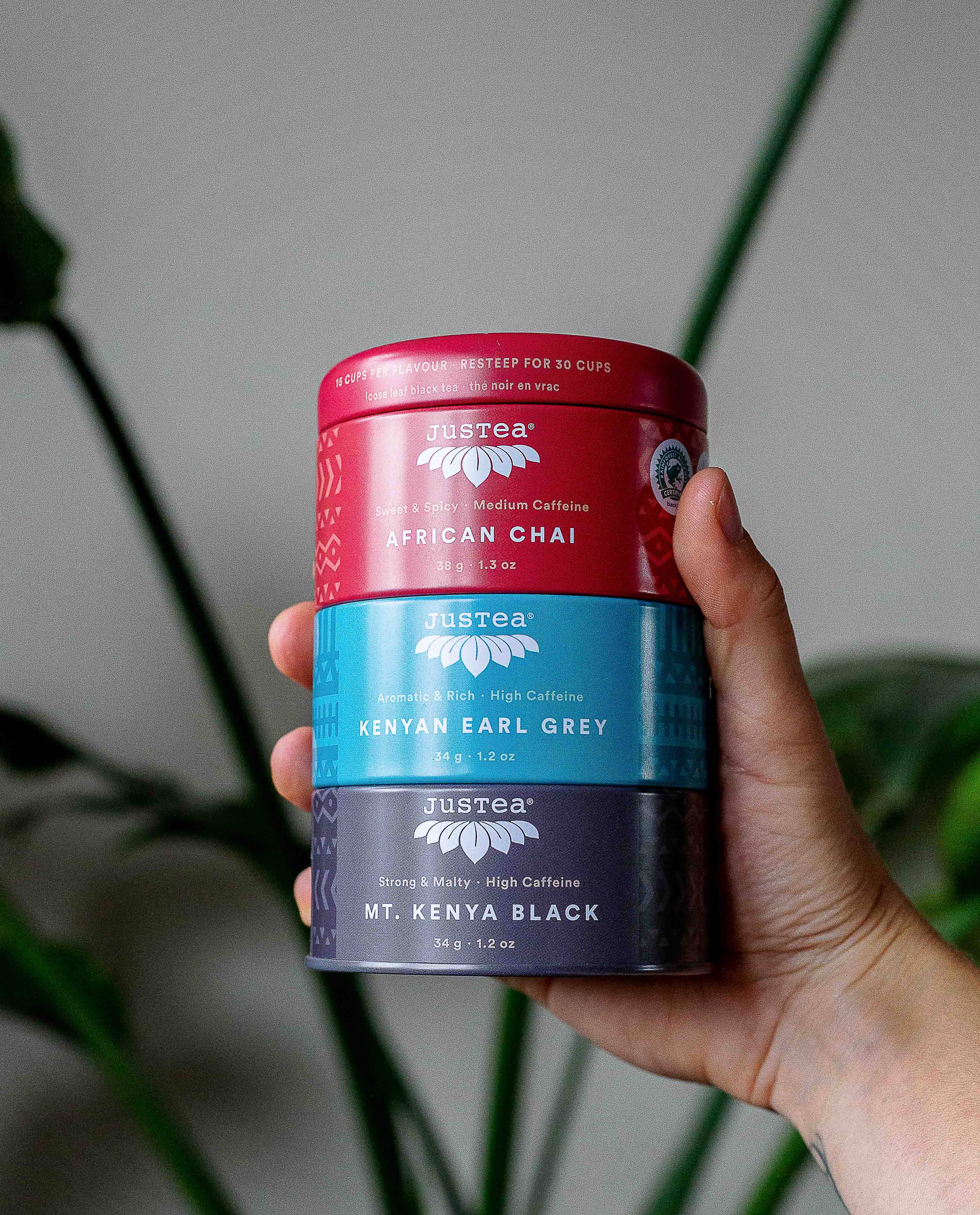 Black Tea Trio Tins & Spoon- Organic