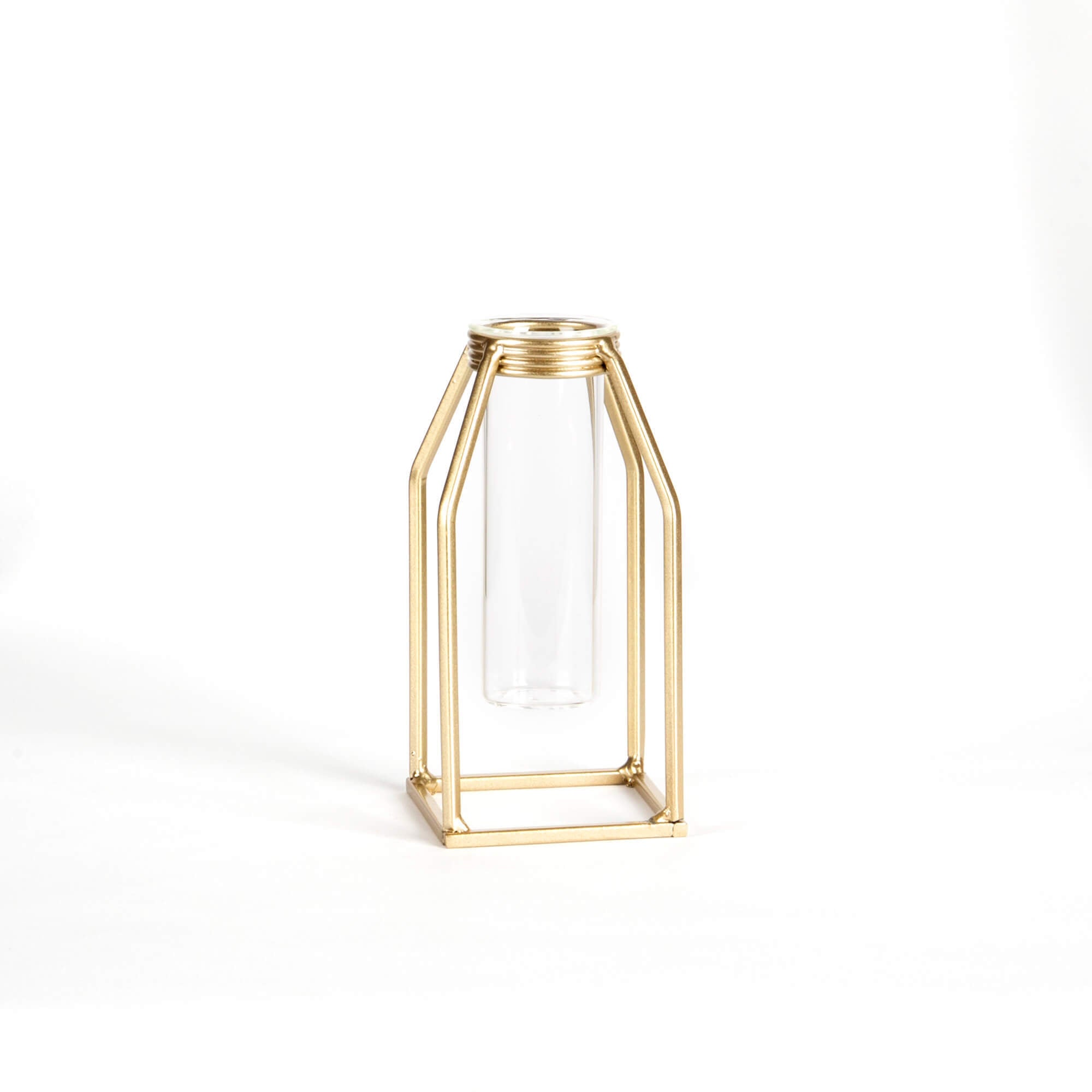 Vase- Glass Tube w/Gold Iron Stand Small