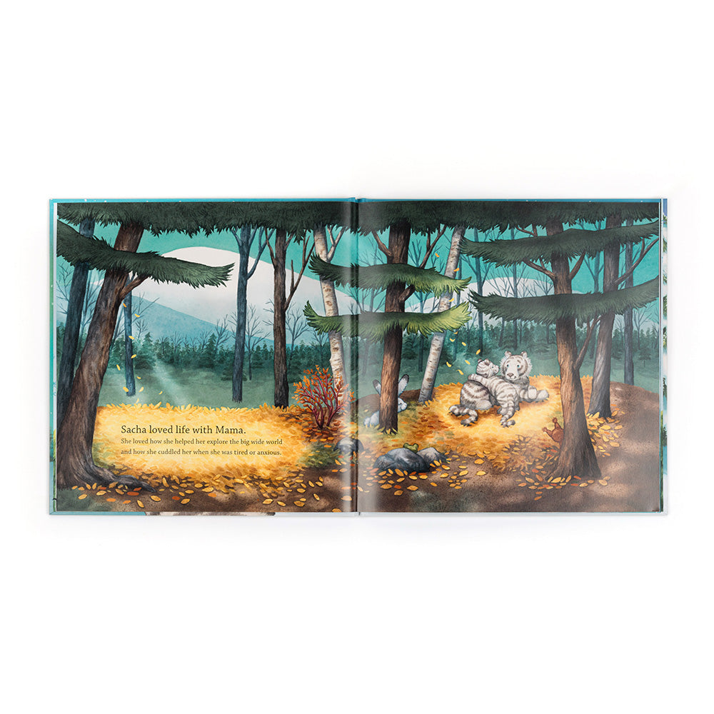 Book- Sacha And The Most Wonderful Thing