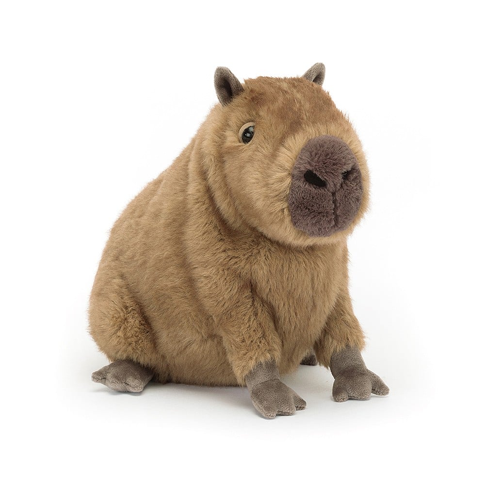 Capybara- Clyde