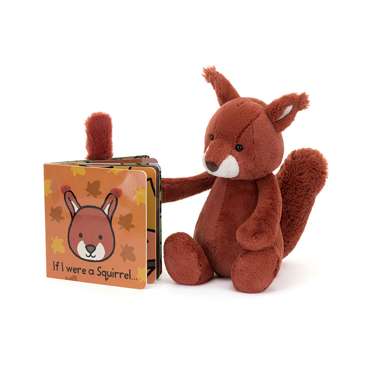 Book- If I Were A Squirrel