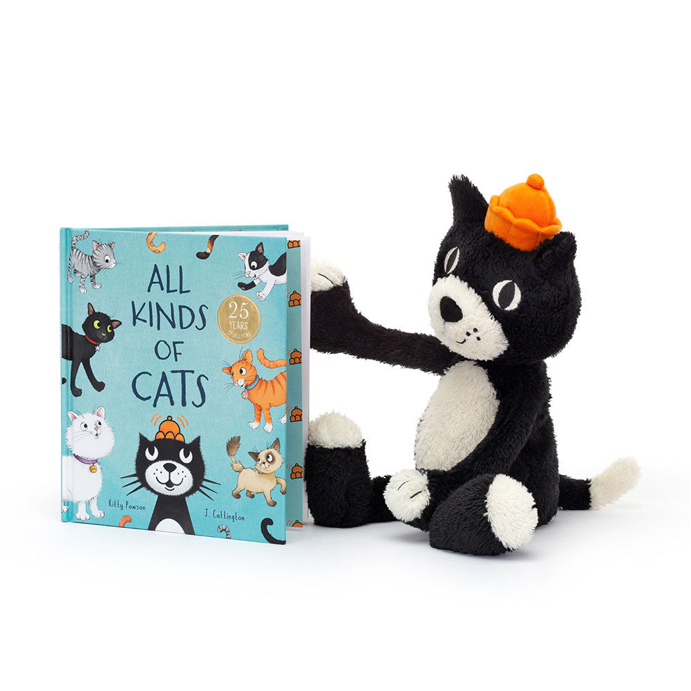Book- All Kinds Of Cats
