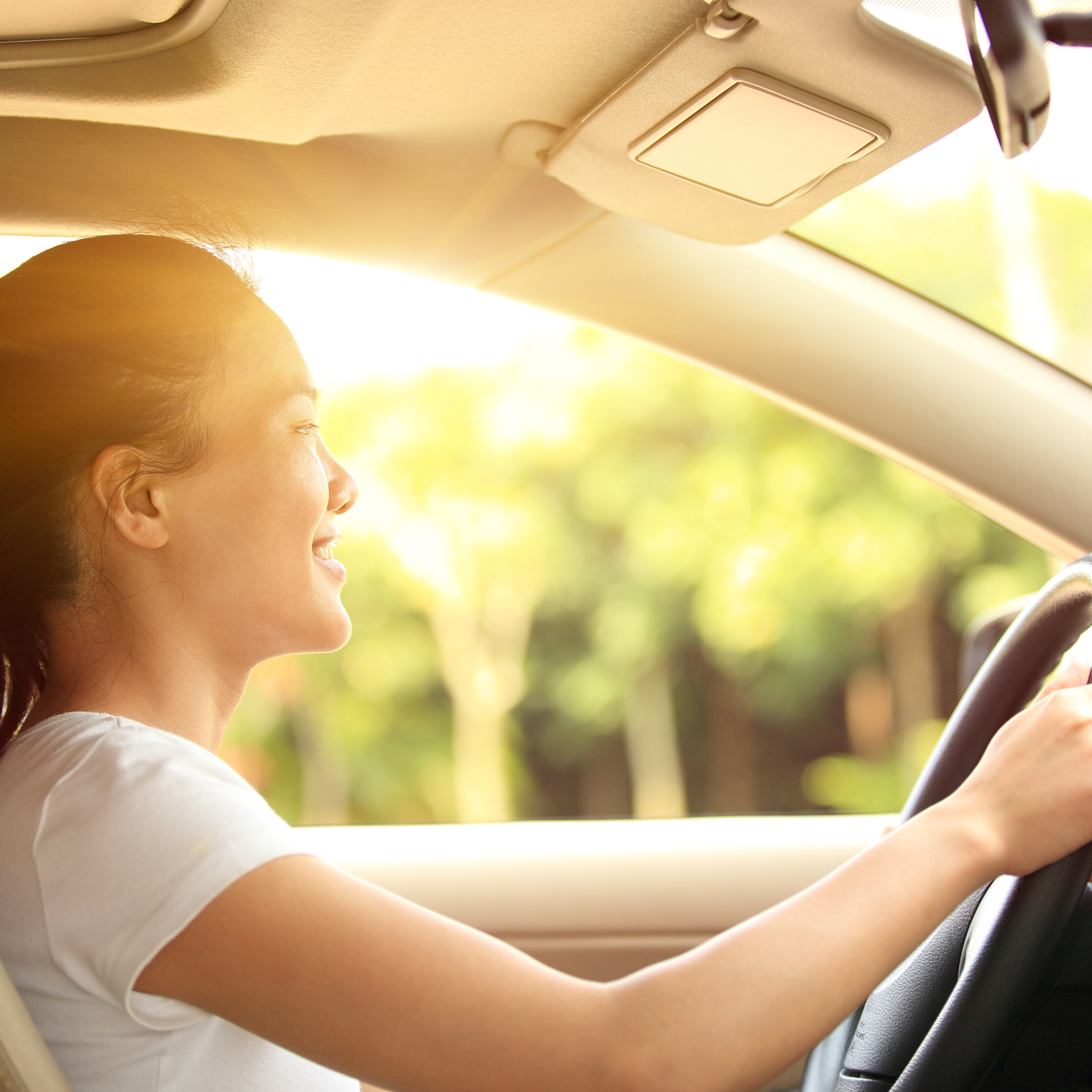 Car Fresh Mist- Mint 60ml