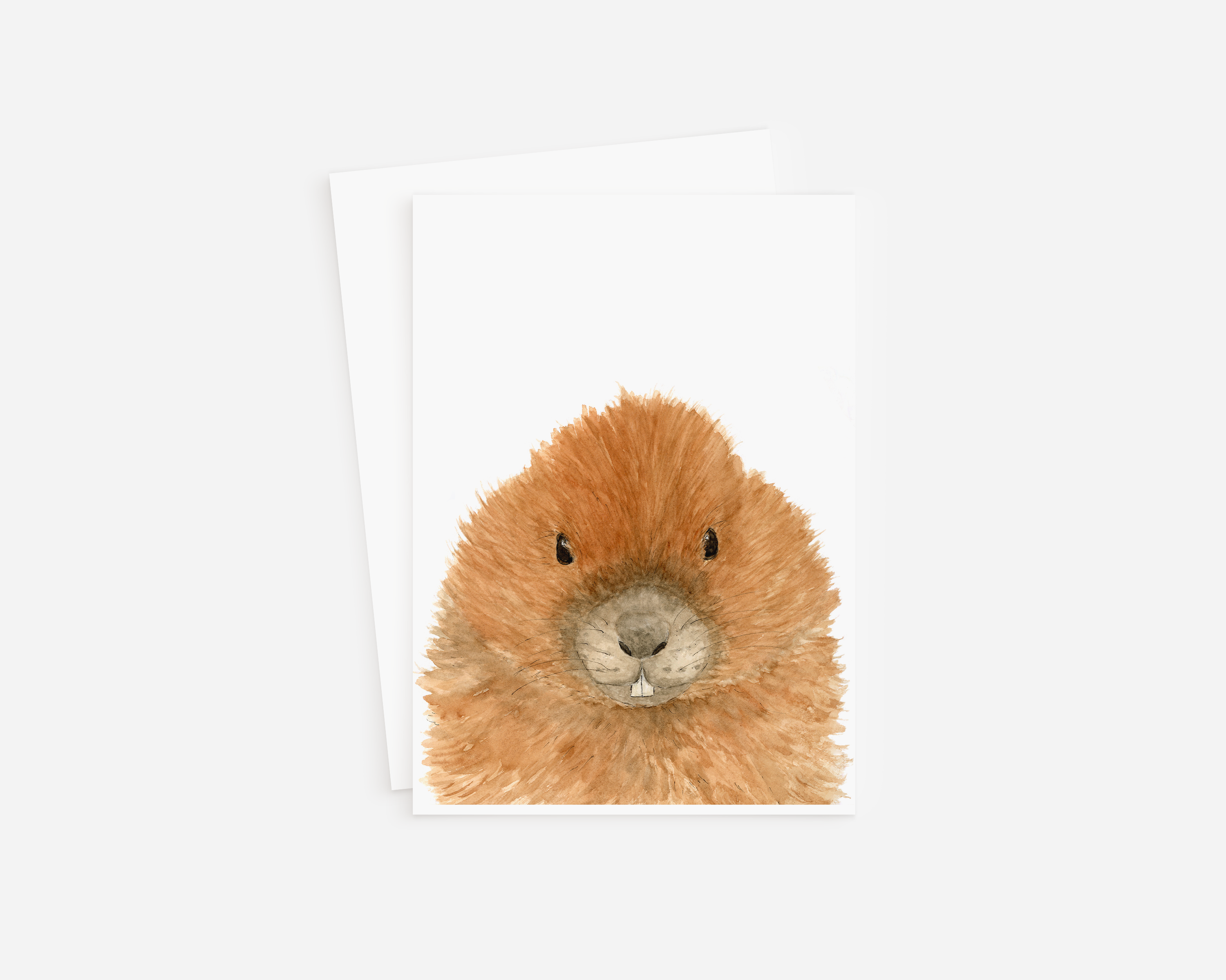 Blank Card- Beaver