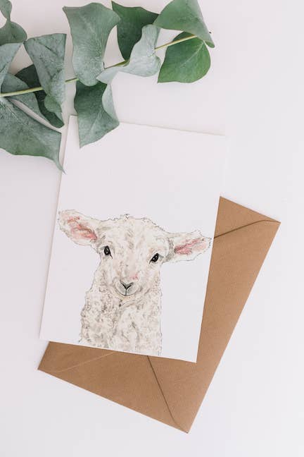 Blank Card- Sheep