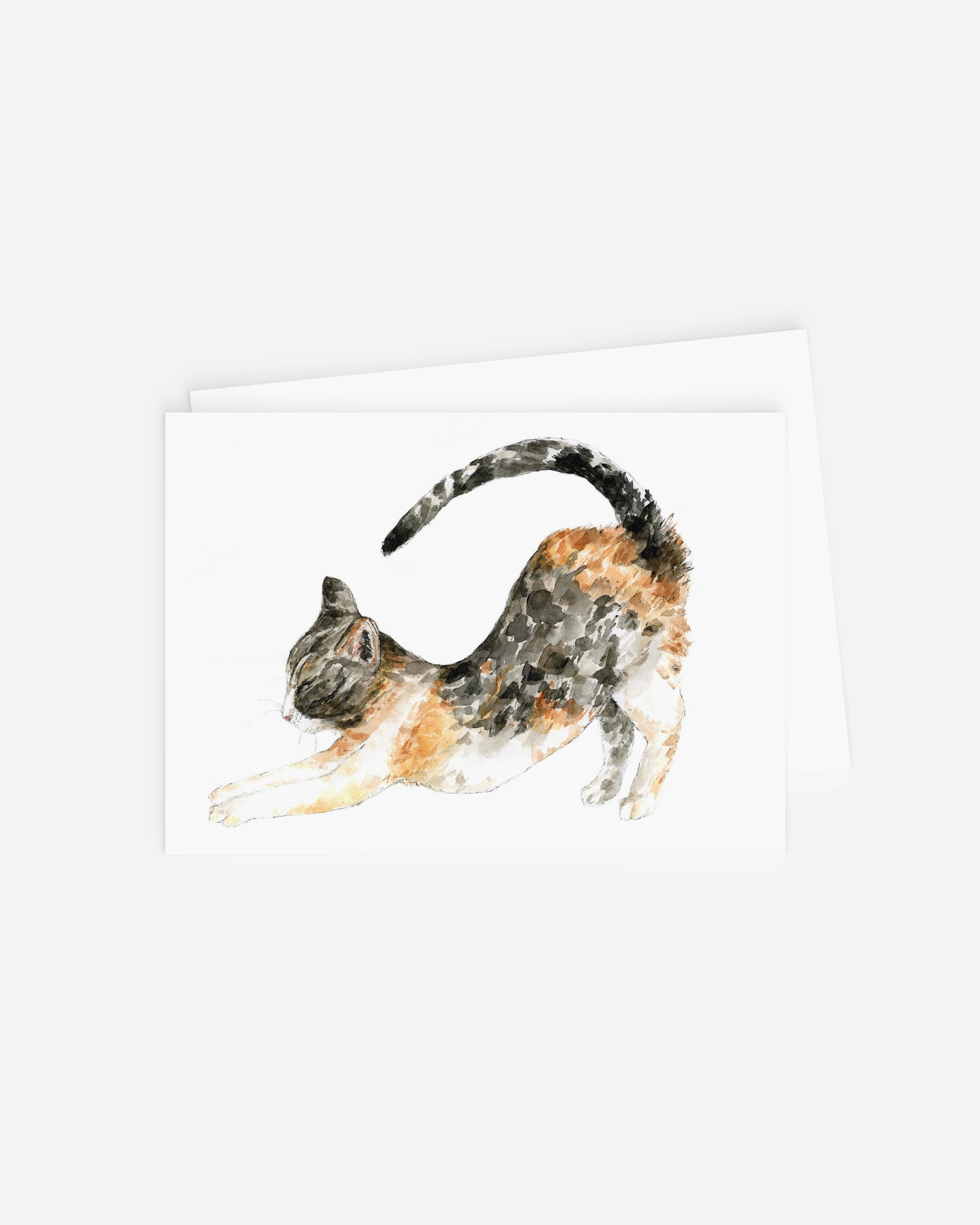 Blank Card- Cat