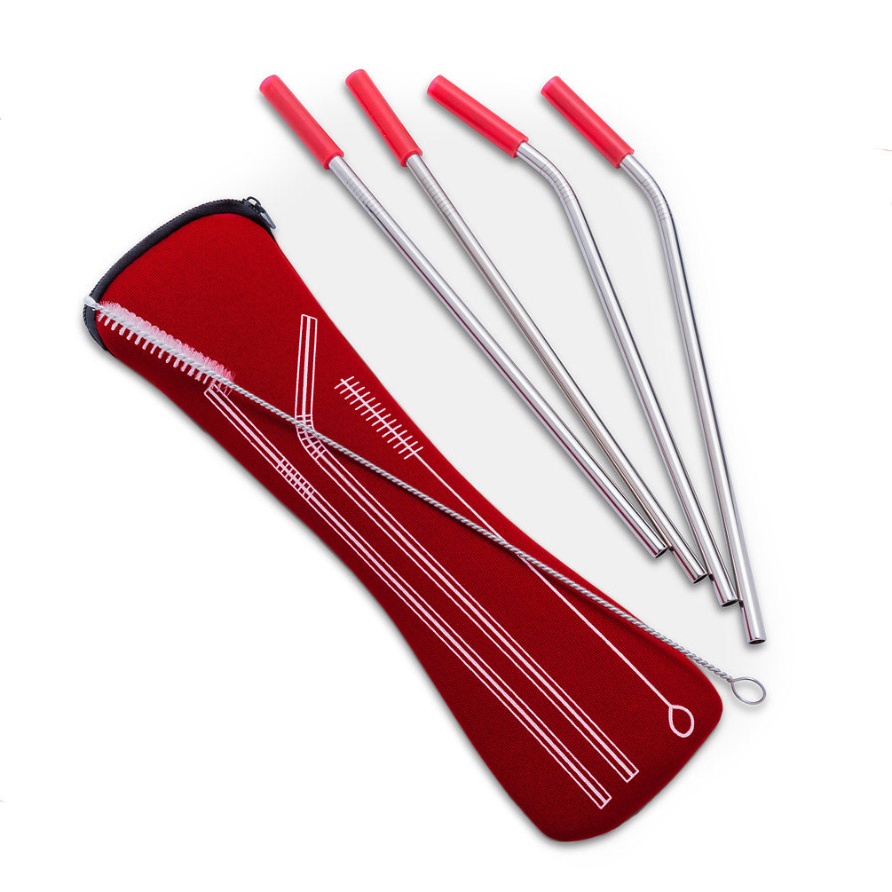 SS Straws & Brush In Case- Assorted Colours