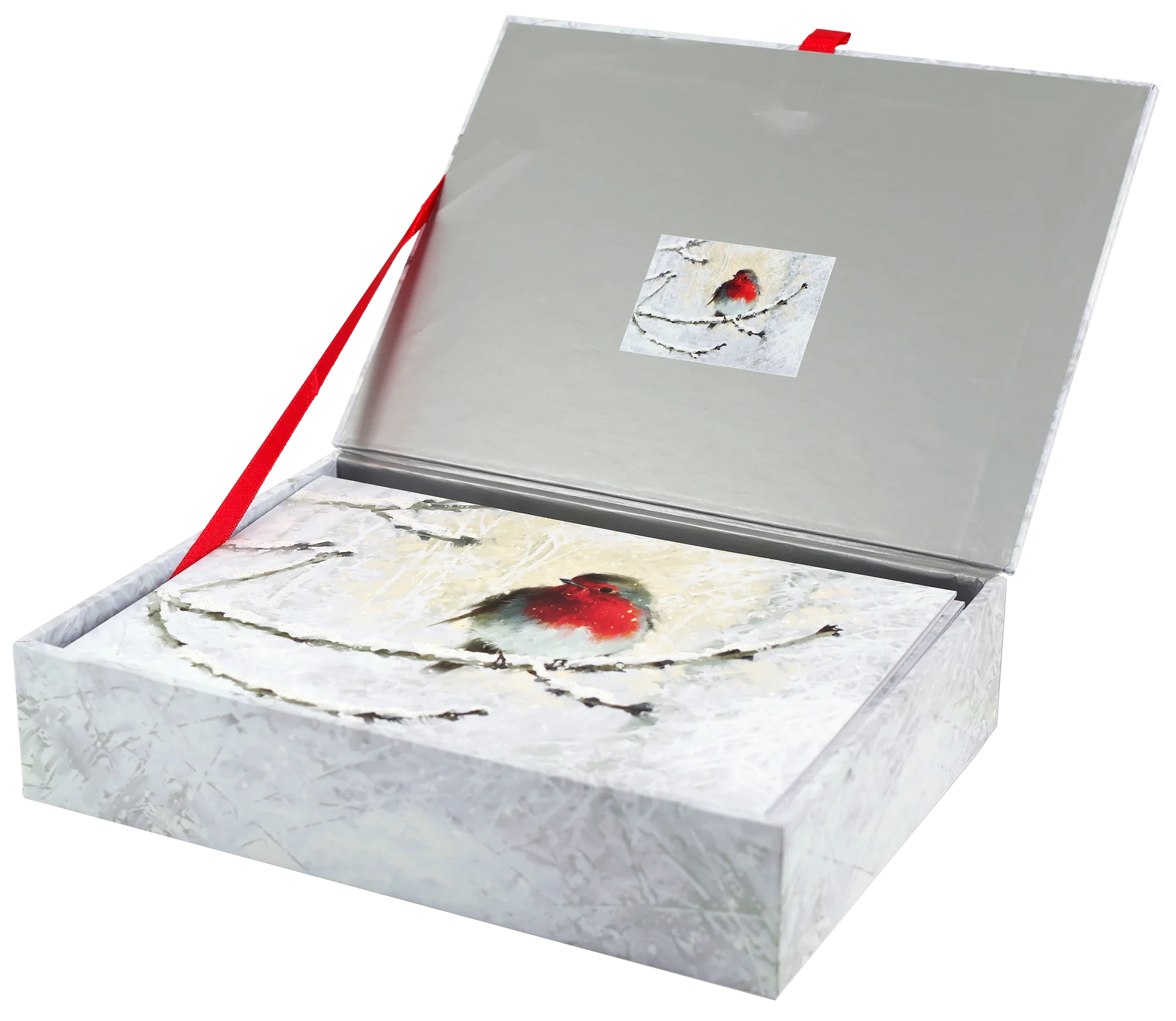 Boxed Deluxe Christmas Cards Set/20- English Robin In Winter