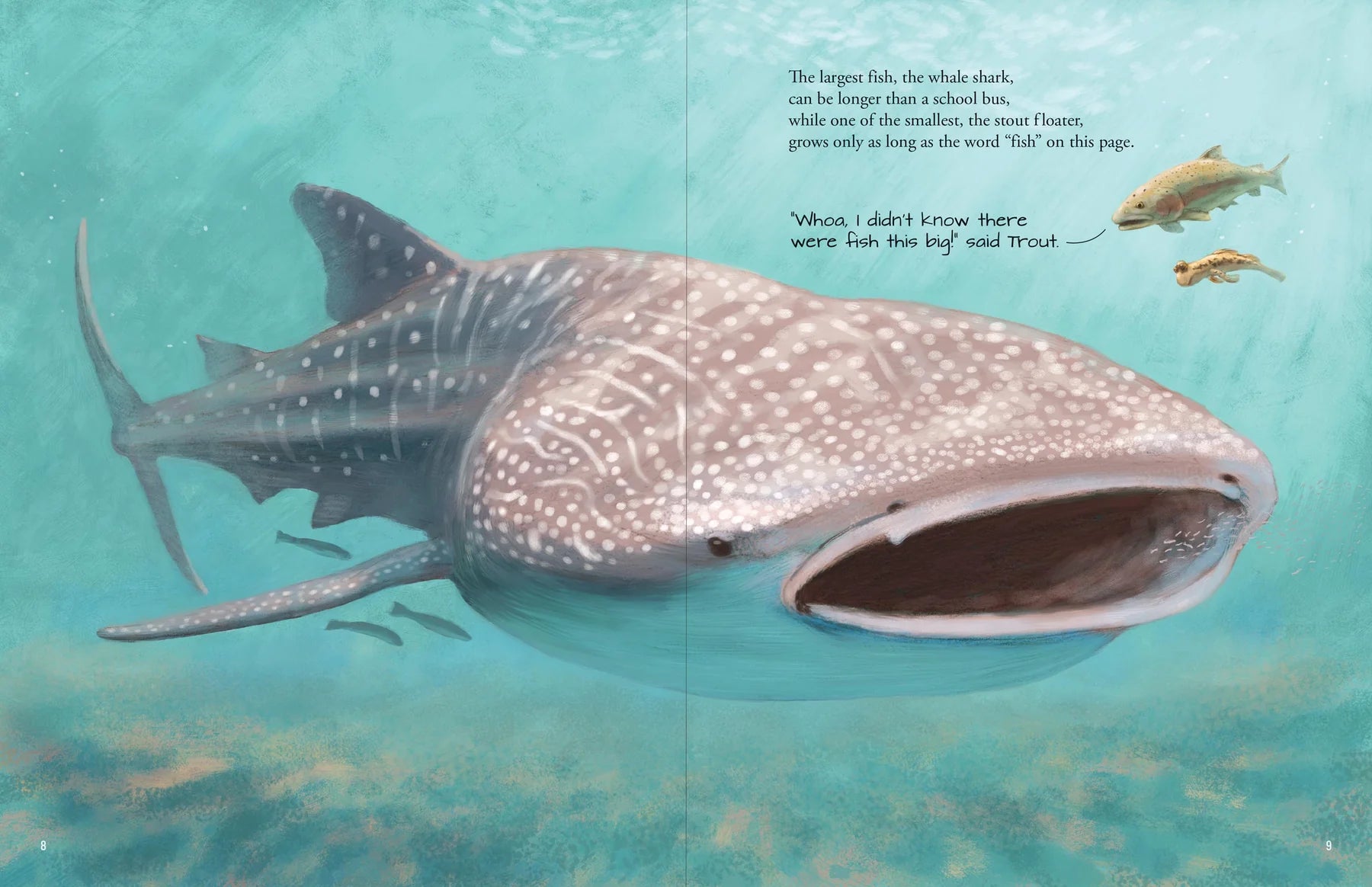 All The Fish In The World