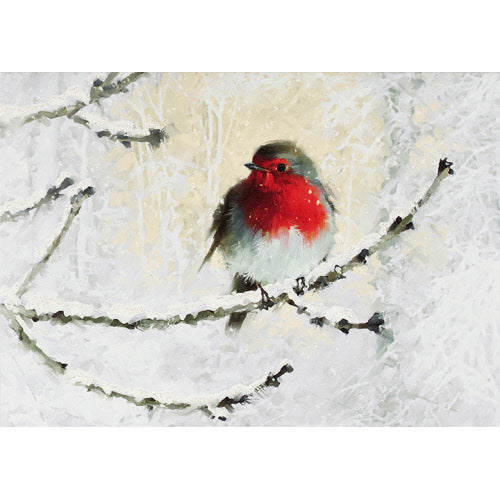 Boxed Deluxe Christmas Cards Set/20- English Robin In Winter