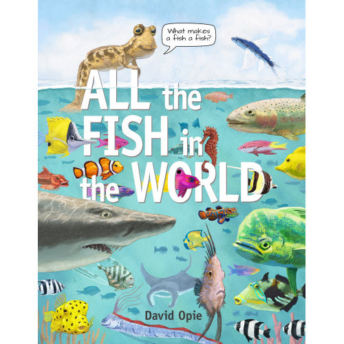 All The Fish In The World