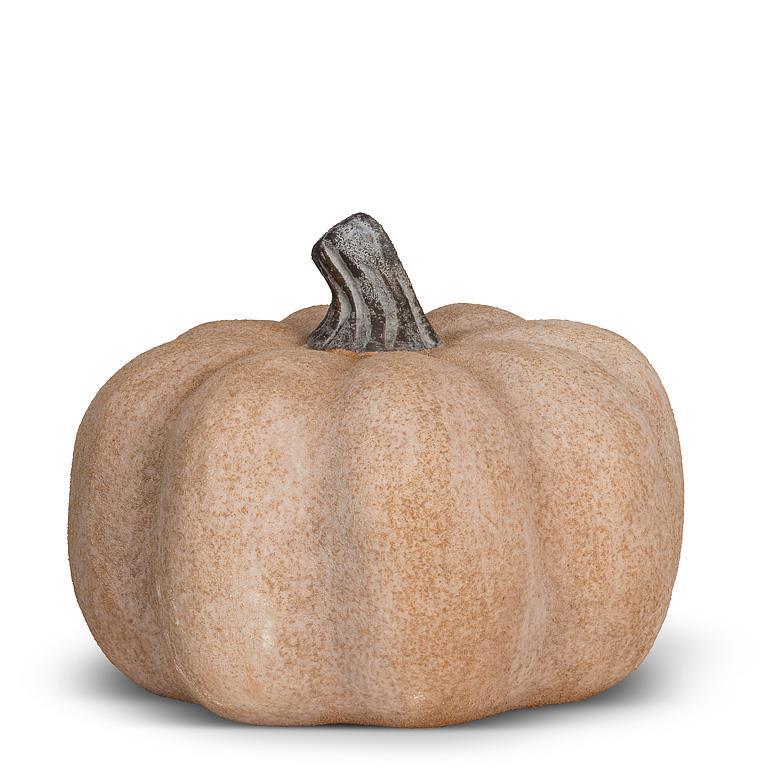 Small Squat Pumpkin