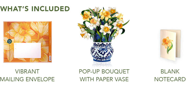 Pop-Up Paper Bouquet & Note Card- English Daffodils