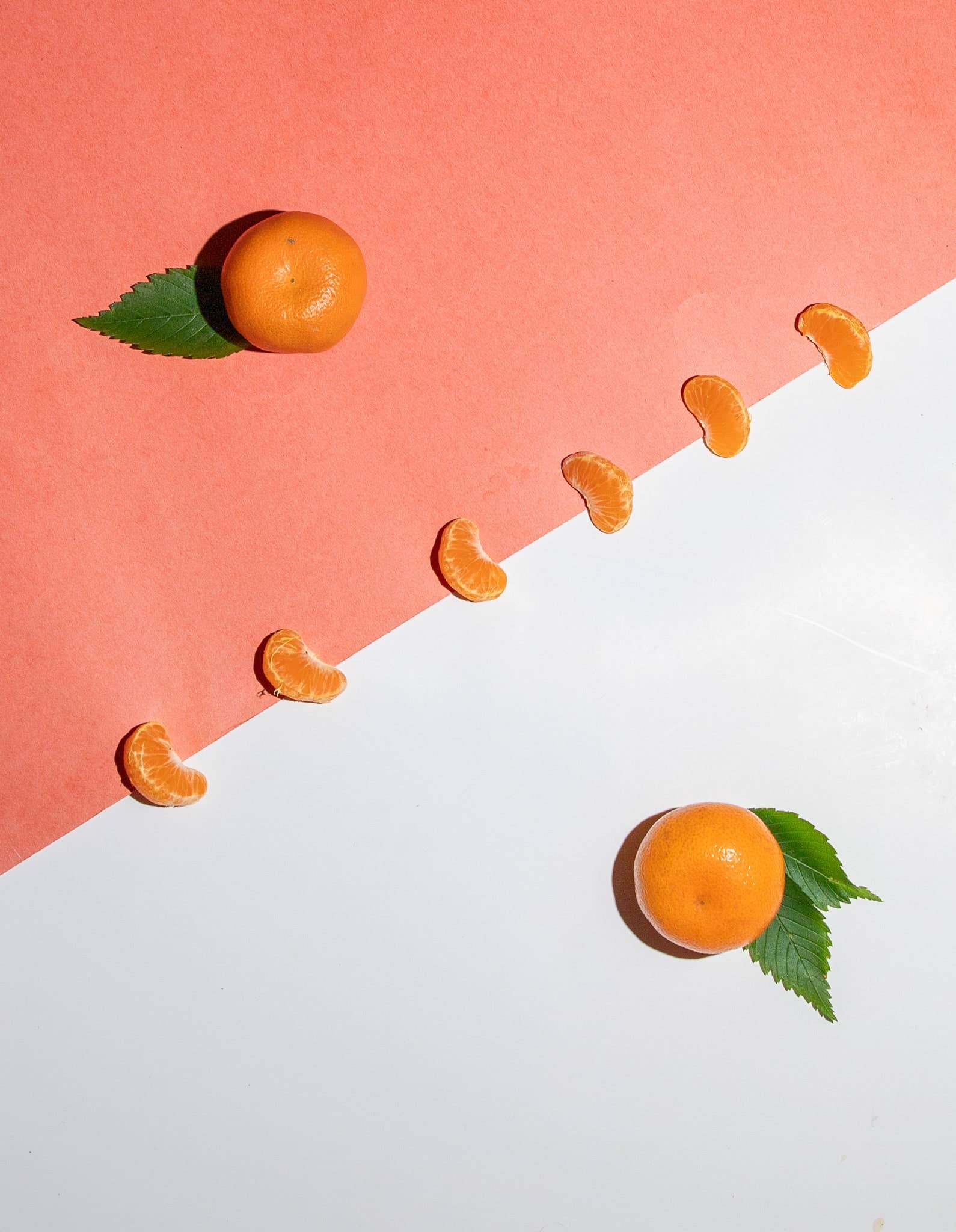 Double Clementine Cactus Lip Balm