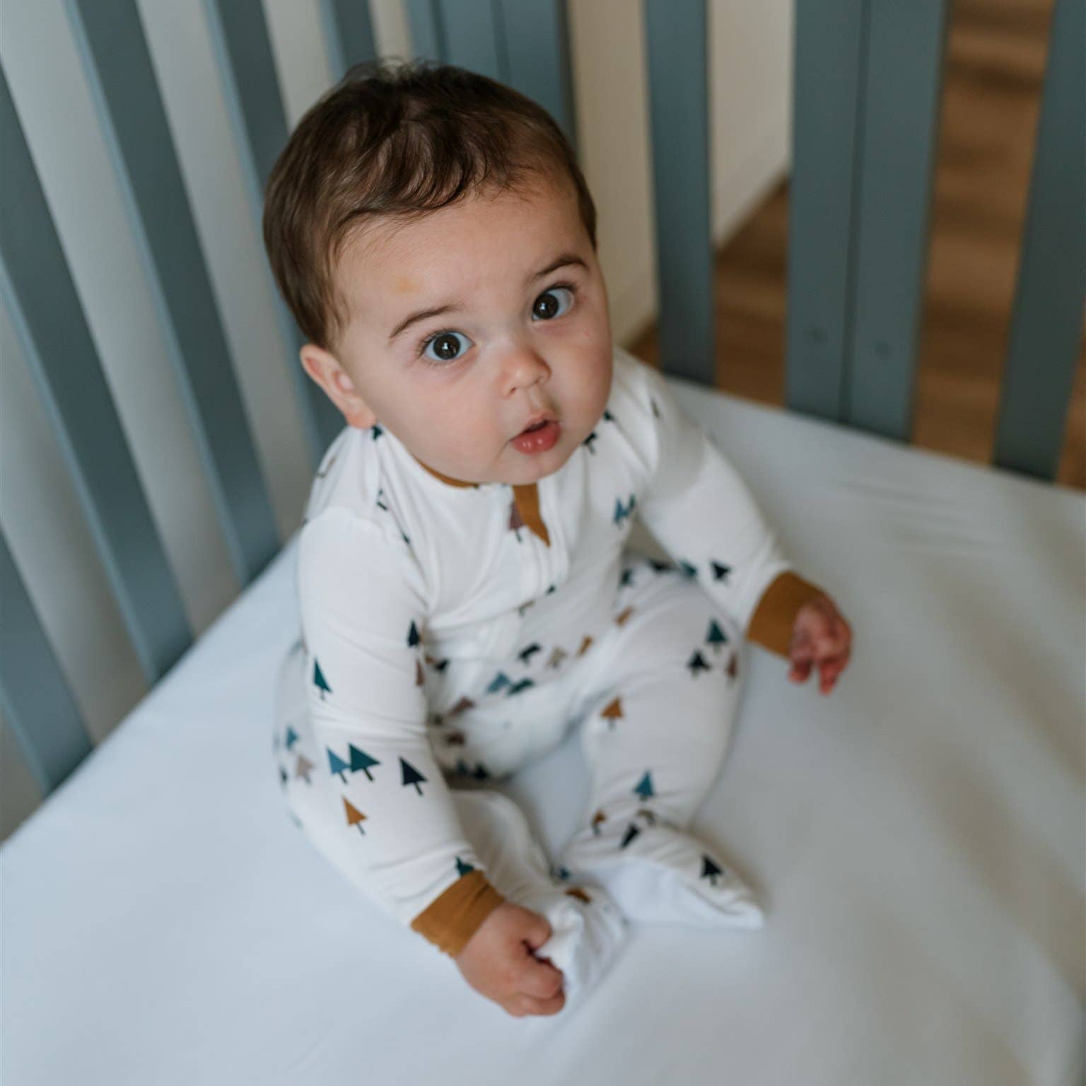 ZippyJamz- Babysuit Footed- All Spruced Up