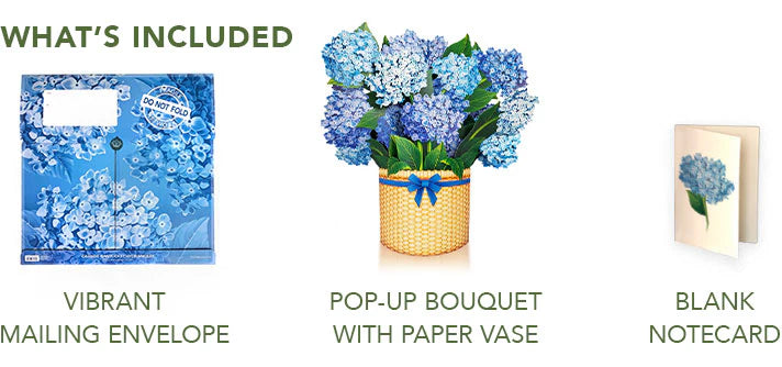 Pop-Up Paper Bouquet & Note Card- Nantucket Hydrangea