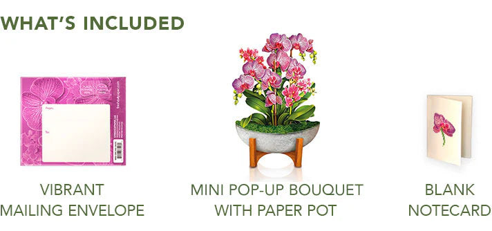 Pop-Up Paper Bouquet & Note Card- Orchid Oasis