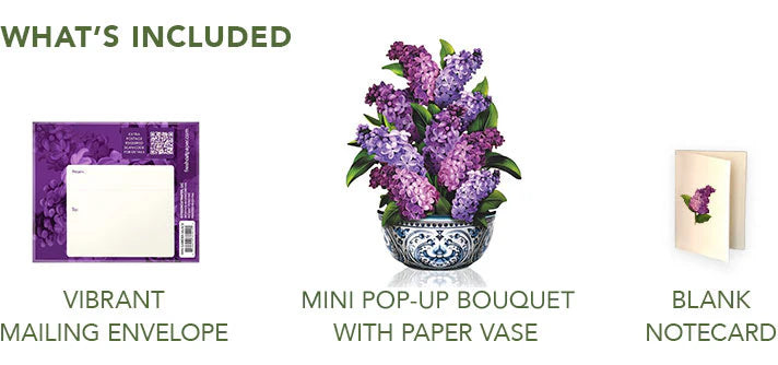 Pop-Up Paper Bouquet & Note Card- Garden Lilacs