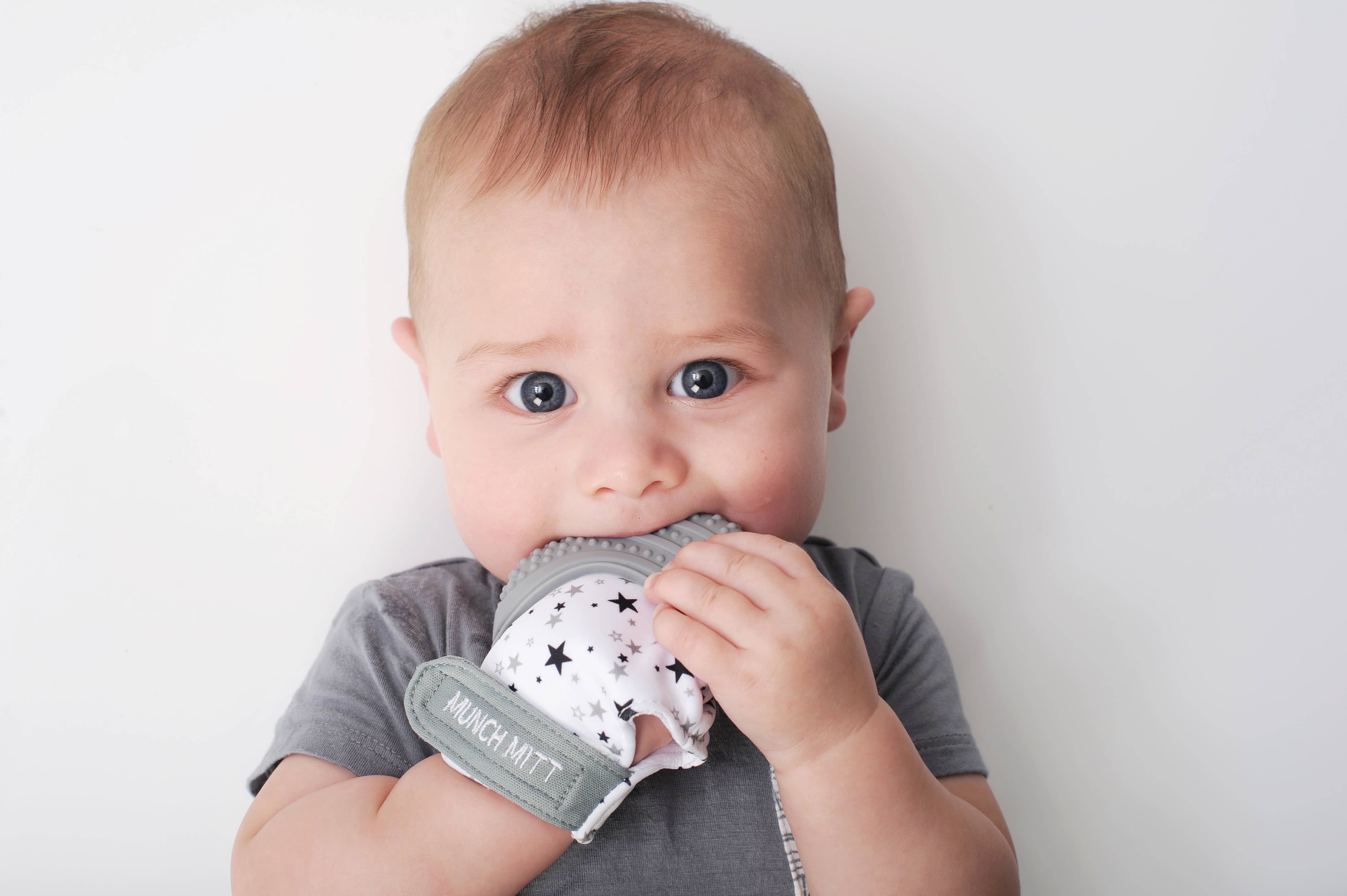 Munch Mitt- Woodland Animals