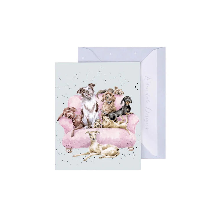 Enclosure Card- Assorted