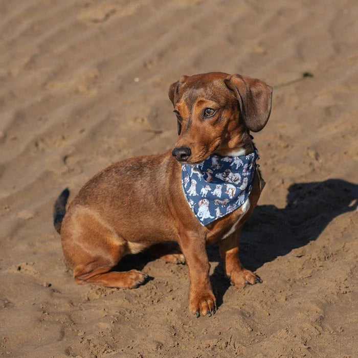 Pet Bandana- Dog Pattern- Asst Sizes