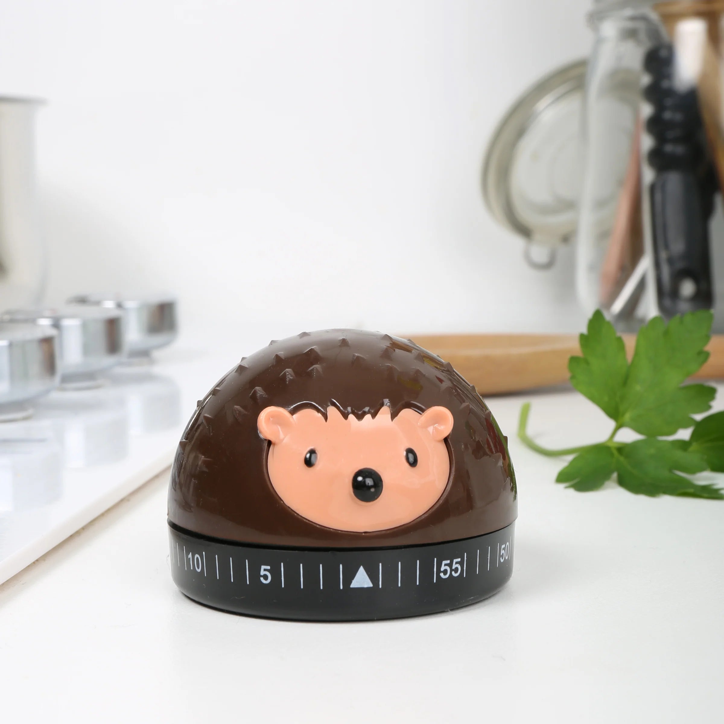 Timer- Kitchen Hedgehog