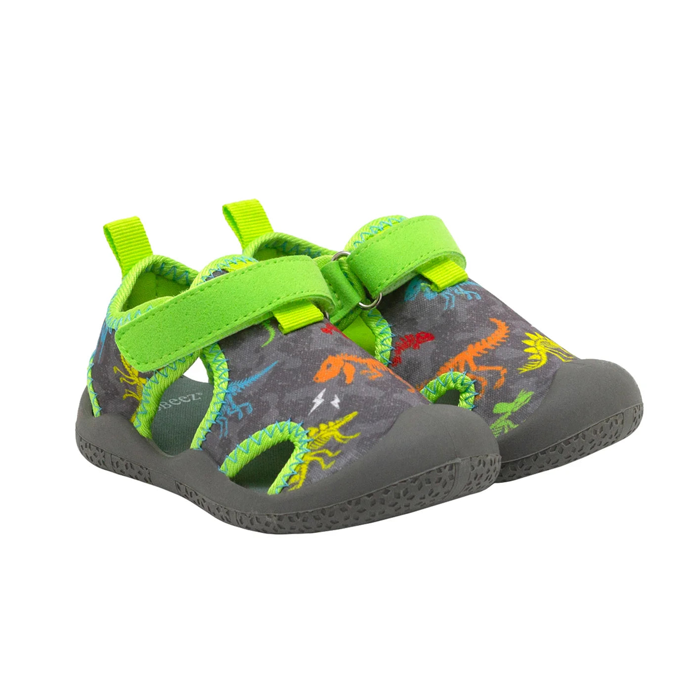 Water Shoes- Dinosaurs