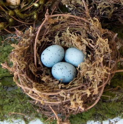 Nest w/Eggs Assorted