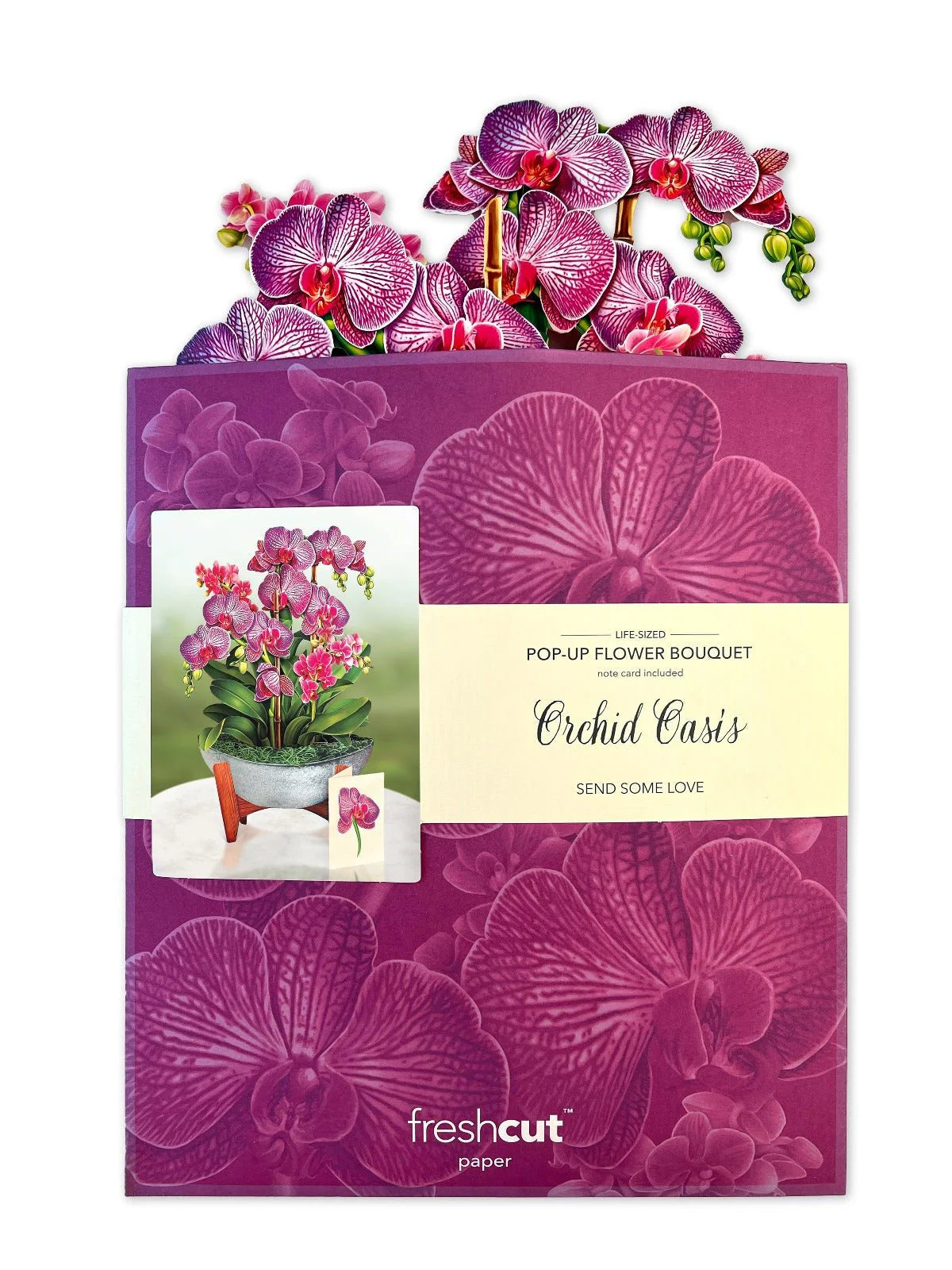 Pop-Up Paper Bouquet & Note Card- Orchid Oasis