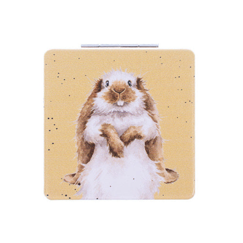 Compact Mirror Assorted