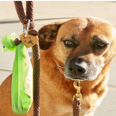 Dog Light