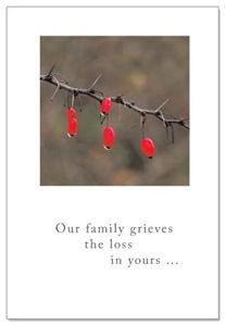 Sympathy Card- Our Family Grieves...
