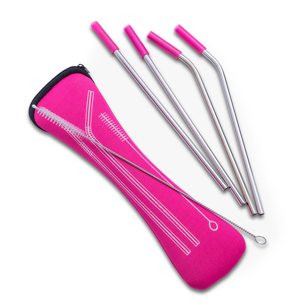 SS Straws & Brush In Case- Assorted Colours