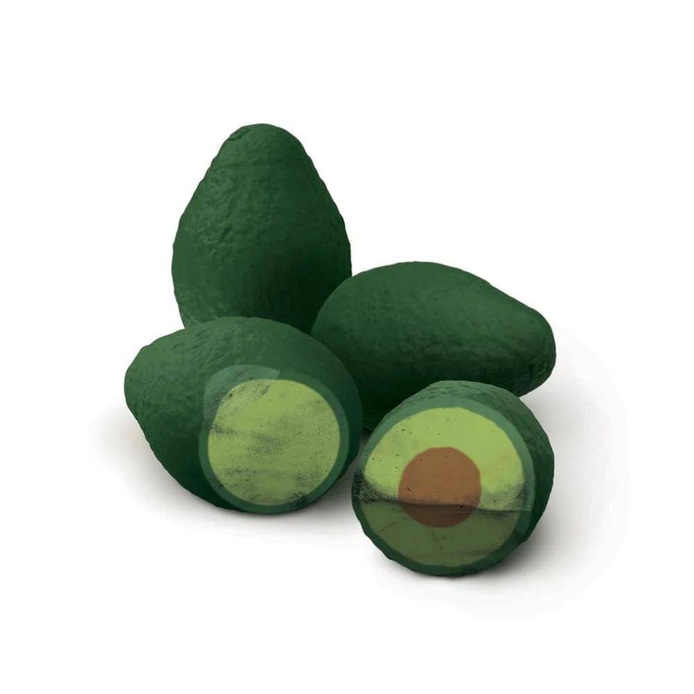 Fred- Erasers- Avocado Bag Set/4