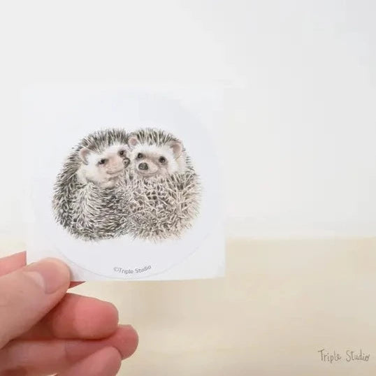Blank Card- Hedgehog Snuggles