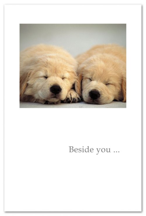 Anniversary Card- Beside You... 2 Puppies