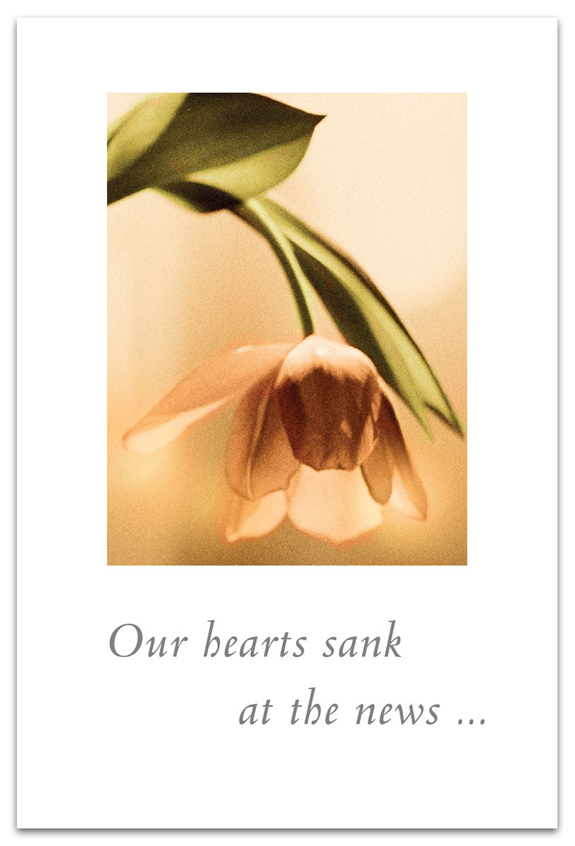 Sympathy Card- Our Hearts Sank...