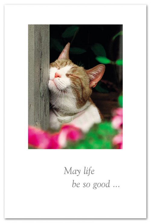 B-Day Card- Cat May Life Be So Good....