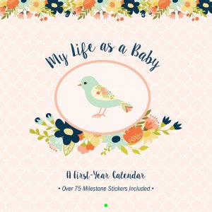 Baby's First Year Calendar- Birds
