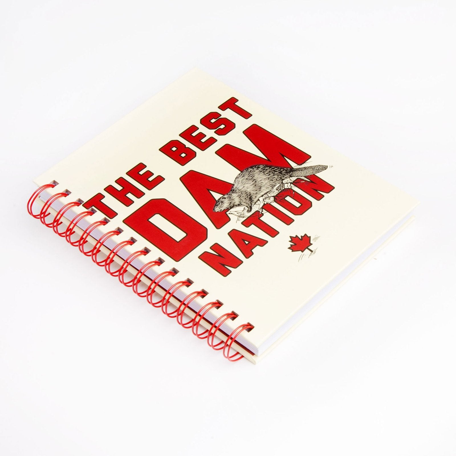 Notebook- Best Dam Nation