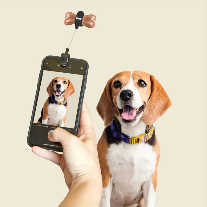 Dog Phone Clip