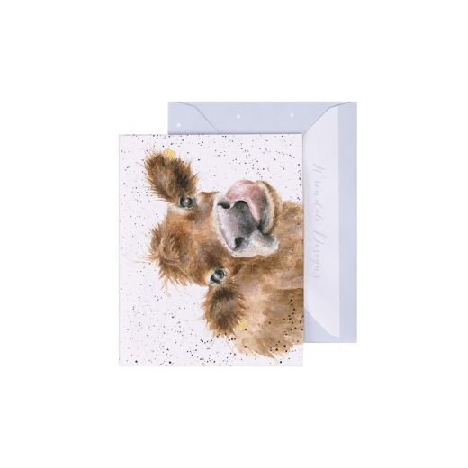 Enclosure Card- Assorted