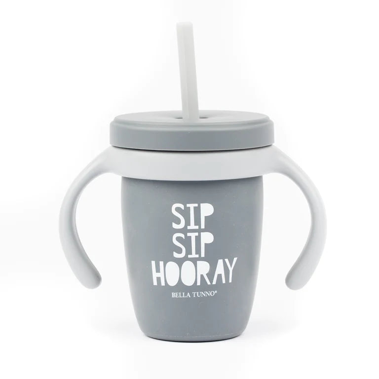 Lid & Straw Set- Grey-Sip Sip Hooray