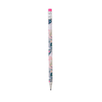 Pencils- Recycled Paper Assorted