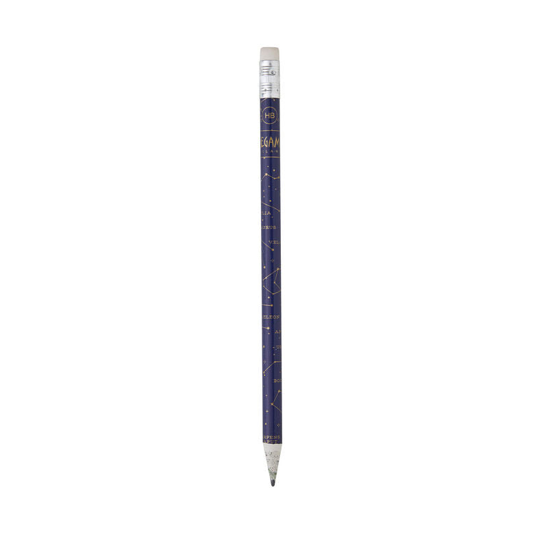 Pencils- Recycled Paper Assorted