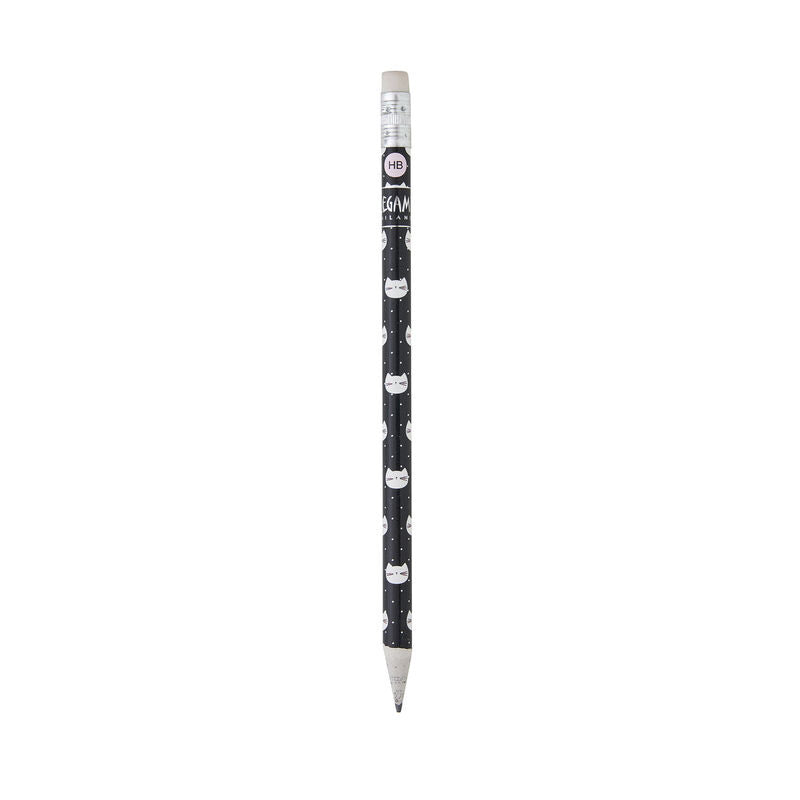 Pencils- Recycled Paper Assorted