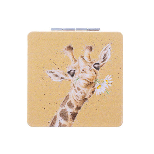 Compact Mirror Assorted